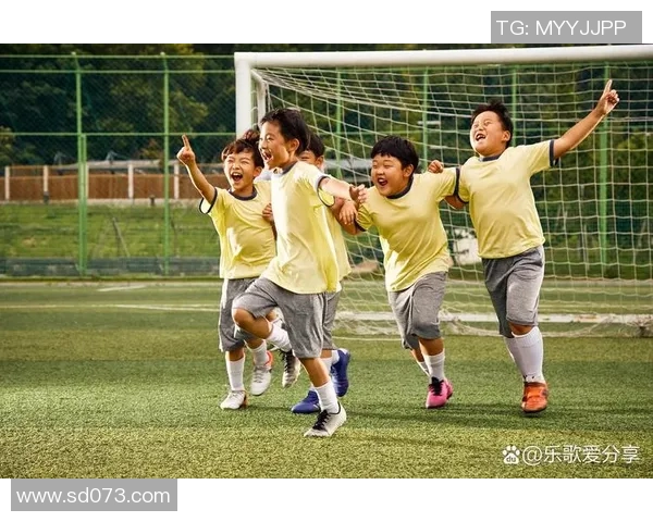 飞言情足球：在绿茵场上追逐梦想与爱情的激情故事