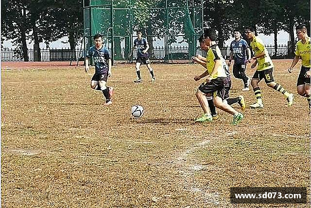 介绍zoty中欧官网